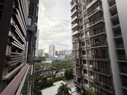 eCO (D16), Condominium #529199021